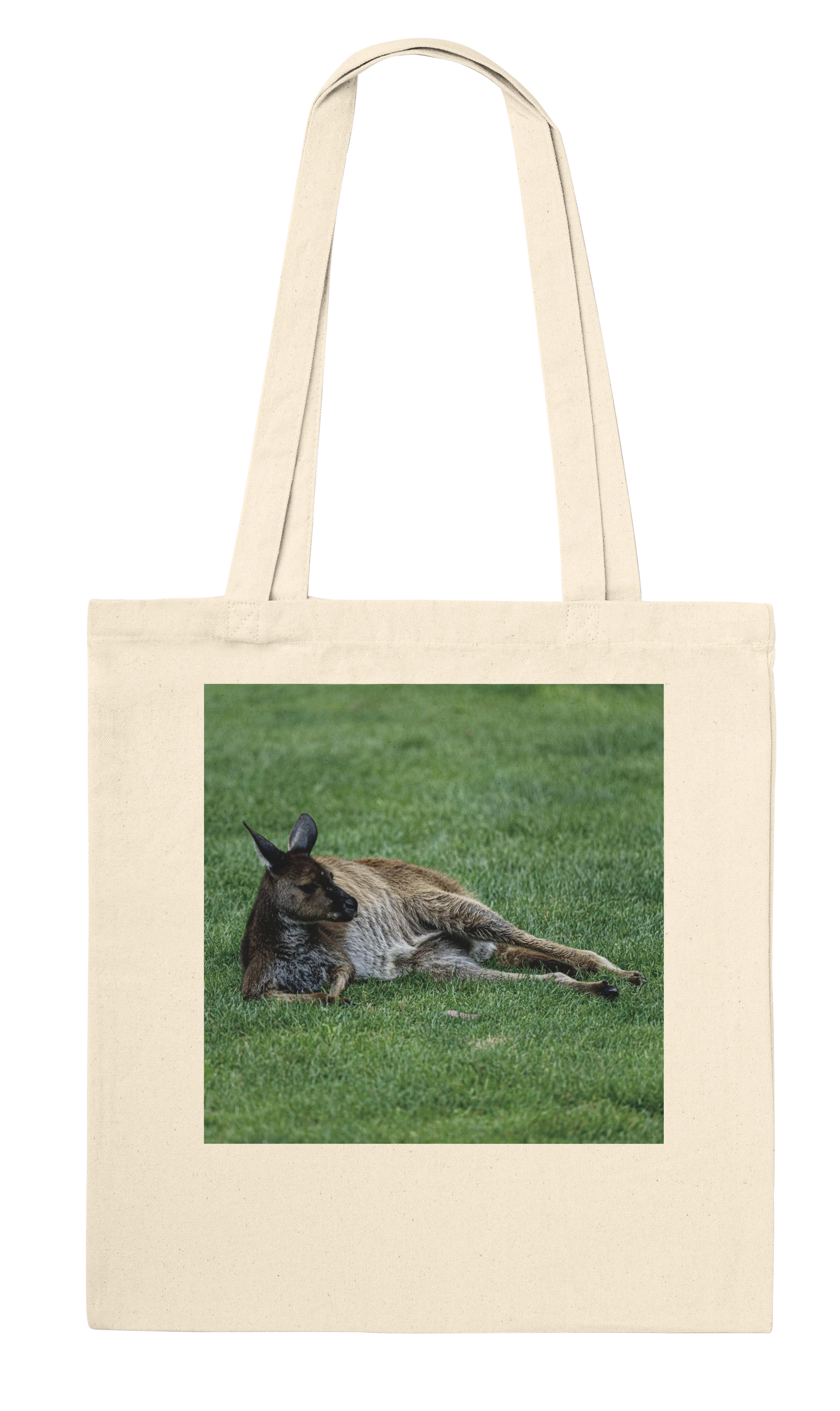Front of natural canvas kangaroo tote bag – lazy lounging kangaroo wildlife art print by Istvan Maar Photography