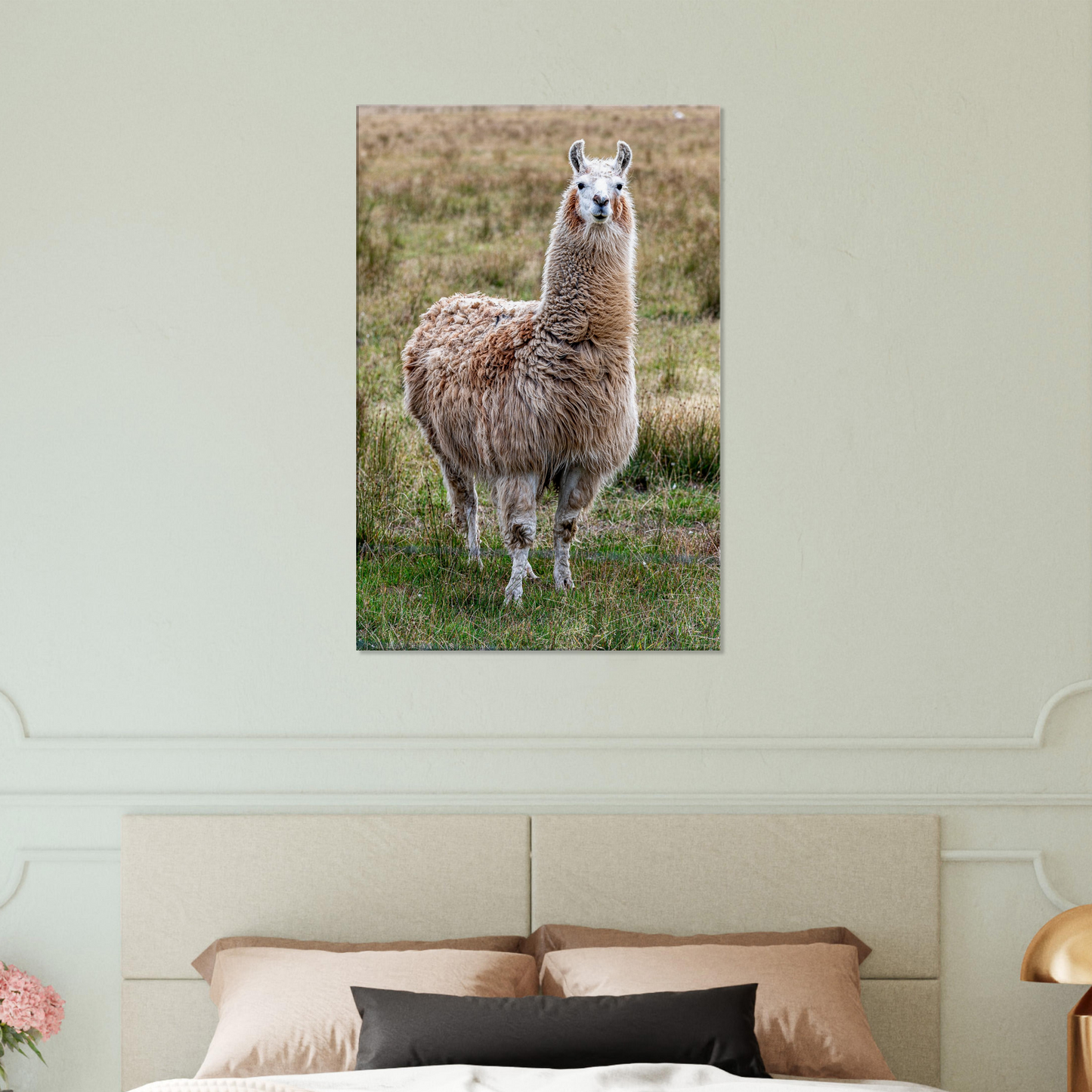 Llama Domestic Farm Animal Canvas Wall Art Photography, Nursery Print, Nursery Animal Wall Decor, Kids Room, Prints, Stretched canvas by Istvan Maar Photography mockup 10