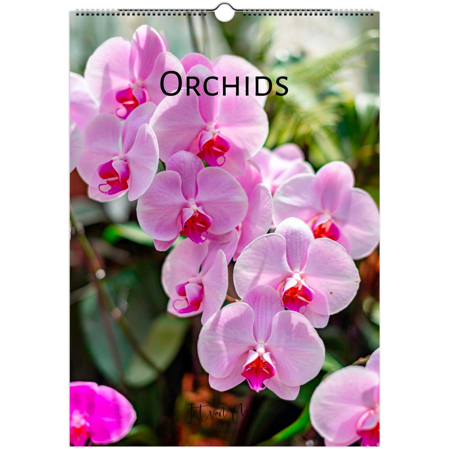 Calendar cover with pink orchids and the word 'Orchids' on a white background
