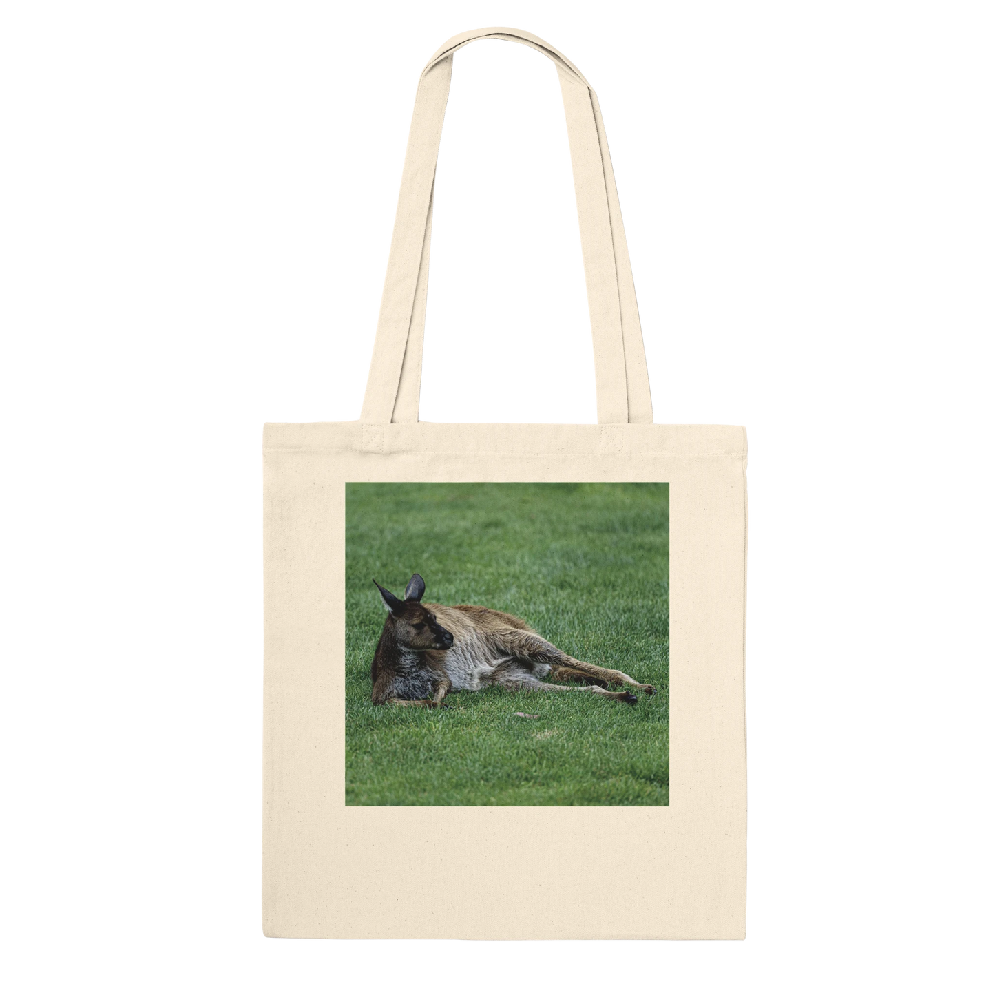 Lazy lounging kangaroo tote bag in canvas – personalised Australian wildlife gift by Istvan Maar Photography