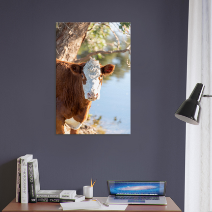 Cow Domestic Animal Canvas Wall Art Photography, Nursery Print, Nursery Animal Wall Decor, Kids Room, Prints, Stretched canvas by Istvan Maar Photography mockup 03