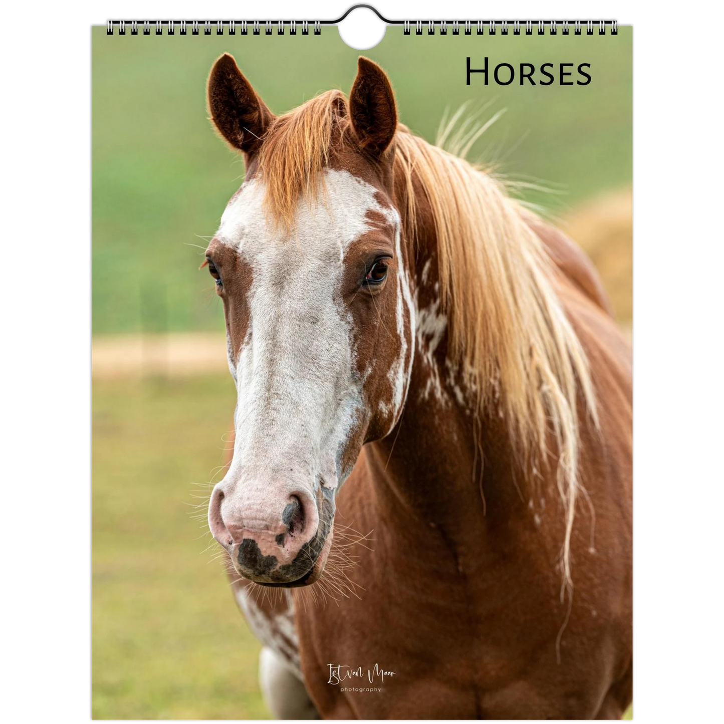 Horses Wall Calendar front cover featuring horse photography by Istvan Maar, animal calendars are available in A4, A3, LT and LG US sizes.