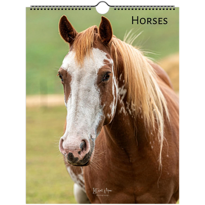 Horses Wall Calendar front cover featuring horse photography by Istvan Maar, animal calendars are available in A4, A3, LT and LG US sizes.