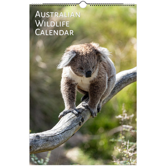 Australian Wildlife Wall calendar by Istvan Maar Photography