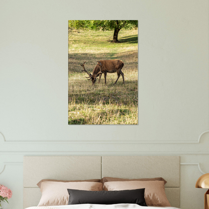 	
Deer Wildlife Animals Art Nursery Photography Wall Decor Kids Room Poster Playroom Artwork Stag Stretched Canvas 106