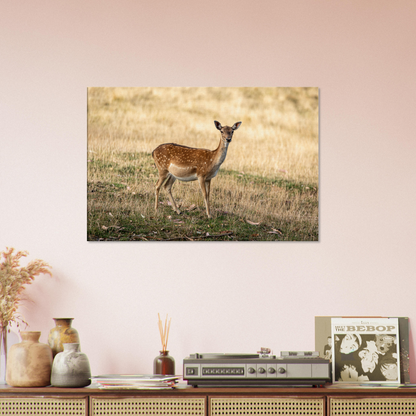 	
Deer Wildlife Animals Art Nursery Photography Wall Decor Kids Room Poster Playroom Artwork Stag Stretched Canvas 188