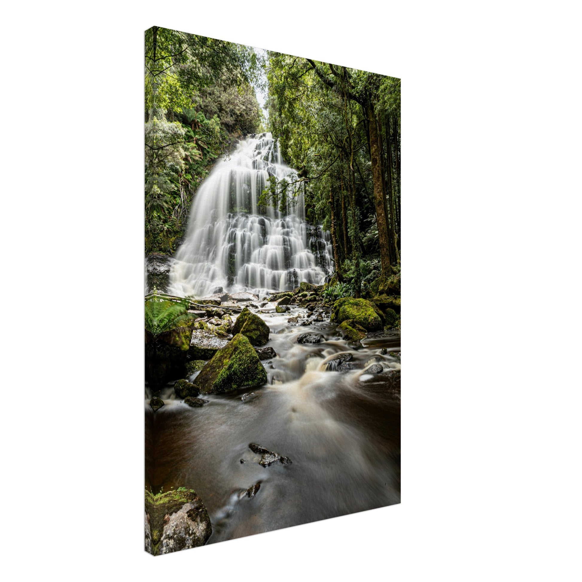 Nelson Falls Canvas by Istvan Maar Photography - by side