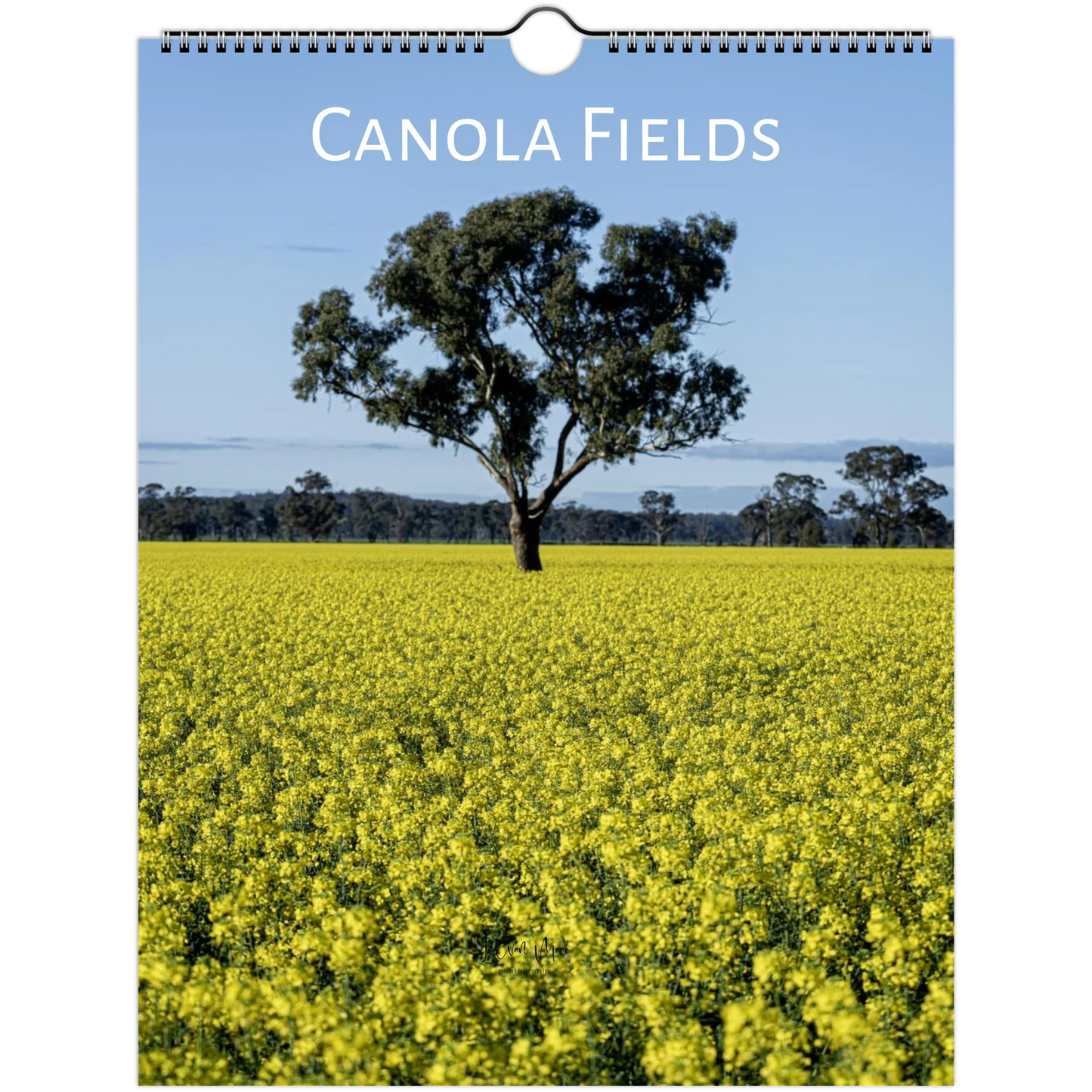 A spiral-bound wall calendar showing a scenic photograph of a canola field with a single tree under a blue sky, with the text 'CANOLA FIELDS' at the top.