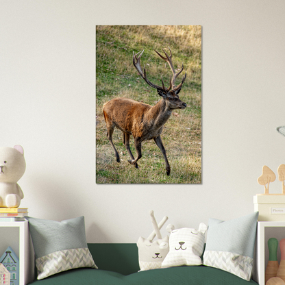 	
Deer Wildlife Animals Art Nursery Photography Wall Decor Kids Room Poster Playroom Artwork Stag Stretched Canvas 011