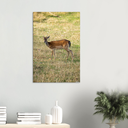 	
Deer Wildlife Animals Art Nursery Photography Wall Decor Kids Room Poster Playroom Artwork Stag Stretched Canvas 162