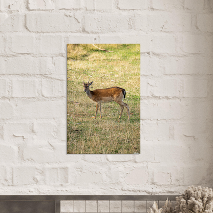 	
Deer Wildlife Animals Art Nursery Photography Wall Decor Kids Room Poster Playroom Artwork Stag Stretched Canvas 169