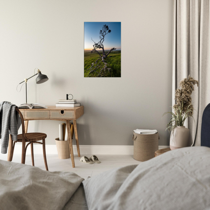 Twisted tree in sunset on canvas by Istvan Maar Photography - in bedroom