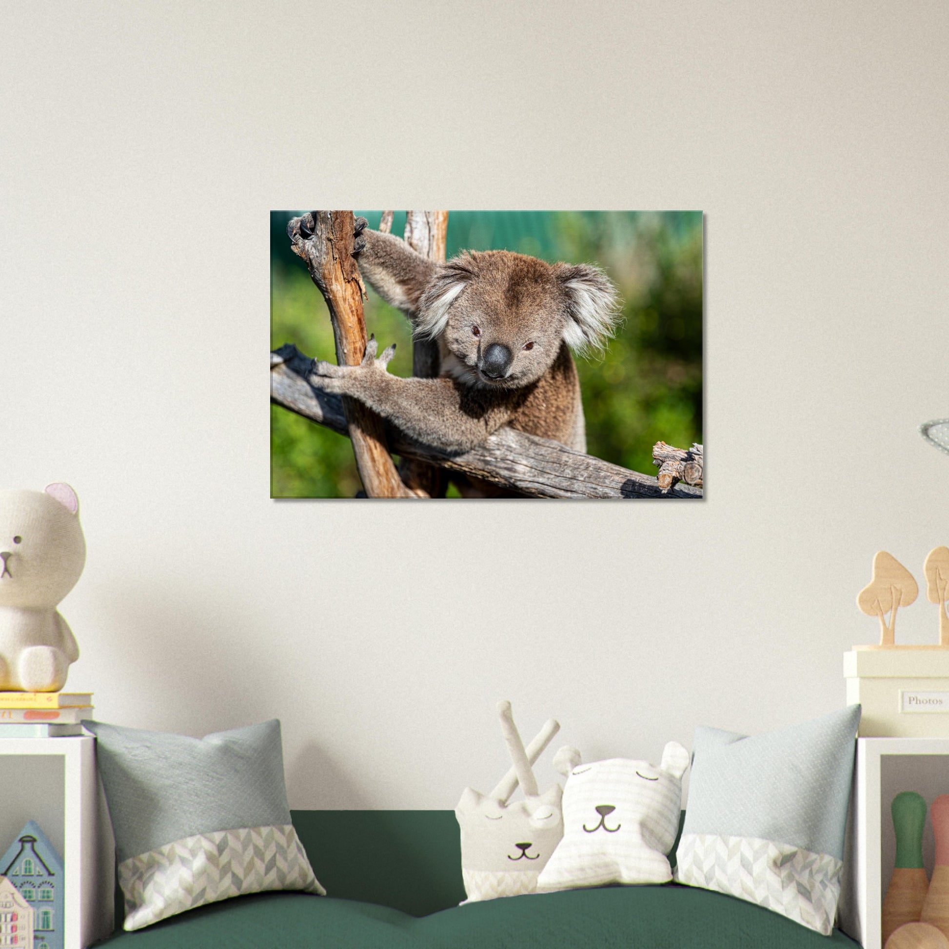 Cute Native Australian Animals Nursery Koala Canvas by Istvan Maar Photography - kid's room