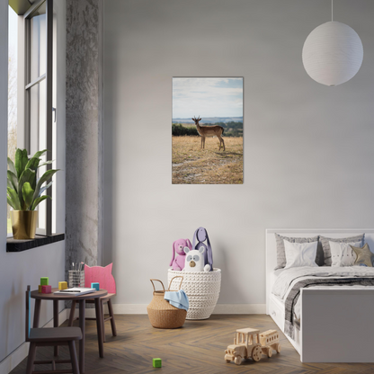 Deer wildlife canvas – size comparison showing available print sizes