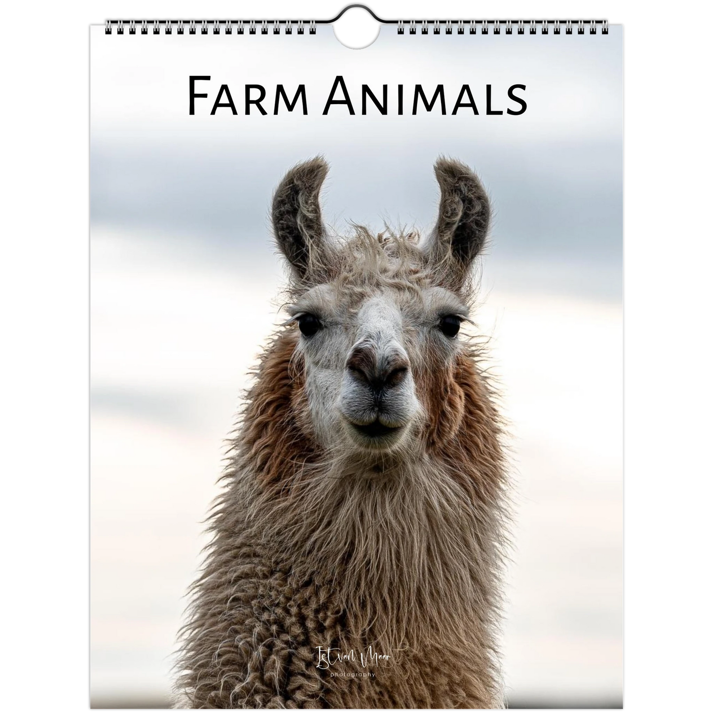 A spiral-bound wall calendar or book cover featuring a close-up photograph of a llama or alpaca face with the title 'FARM ANIMALS' at the top. The cover has a white border and a hanging hole near the top.