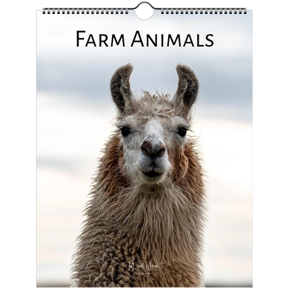A spiral-bound wall calendar or book cover featuring a close-up photograph of a llama or alpaca face with the title 'FARM ANIMALS' at the top. The cover has a white border and a hanging hole near the top.