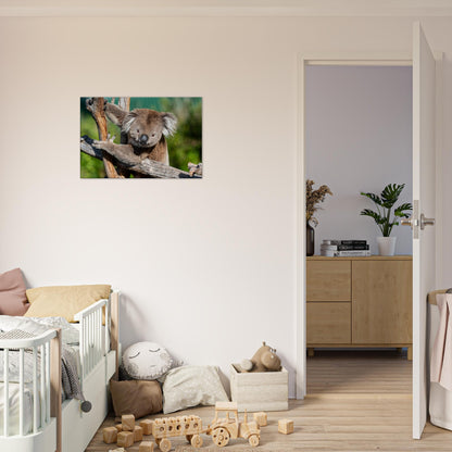 Cute Native Australian Animals Nursery Koala Canvas by Istvan Maar Photography - kid's room with cot