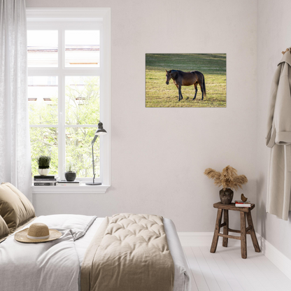 Nursery Wall art Canvas Horse Domestic Animal by Istvan Maar Photography