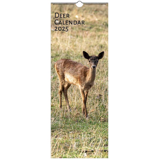 Cover of Slim Vertical Deer Calendar by Istvan Maar Photography in English Week start day Monday