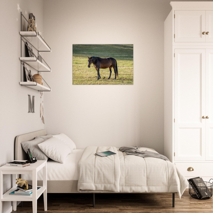 Horse Canvas Wall Art by Istvan Maar Photography 