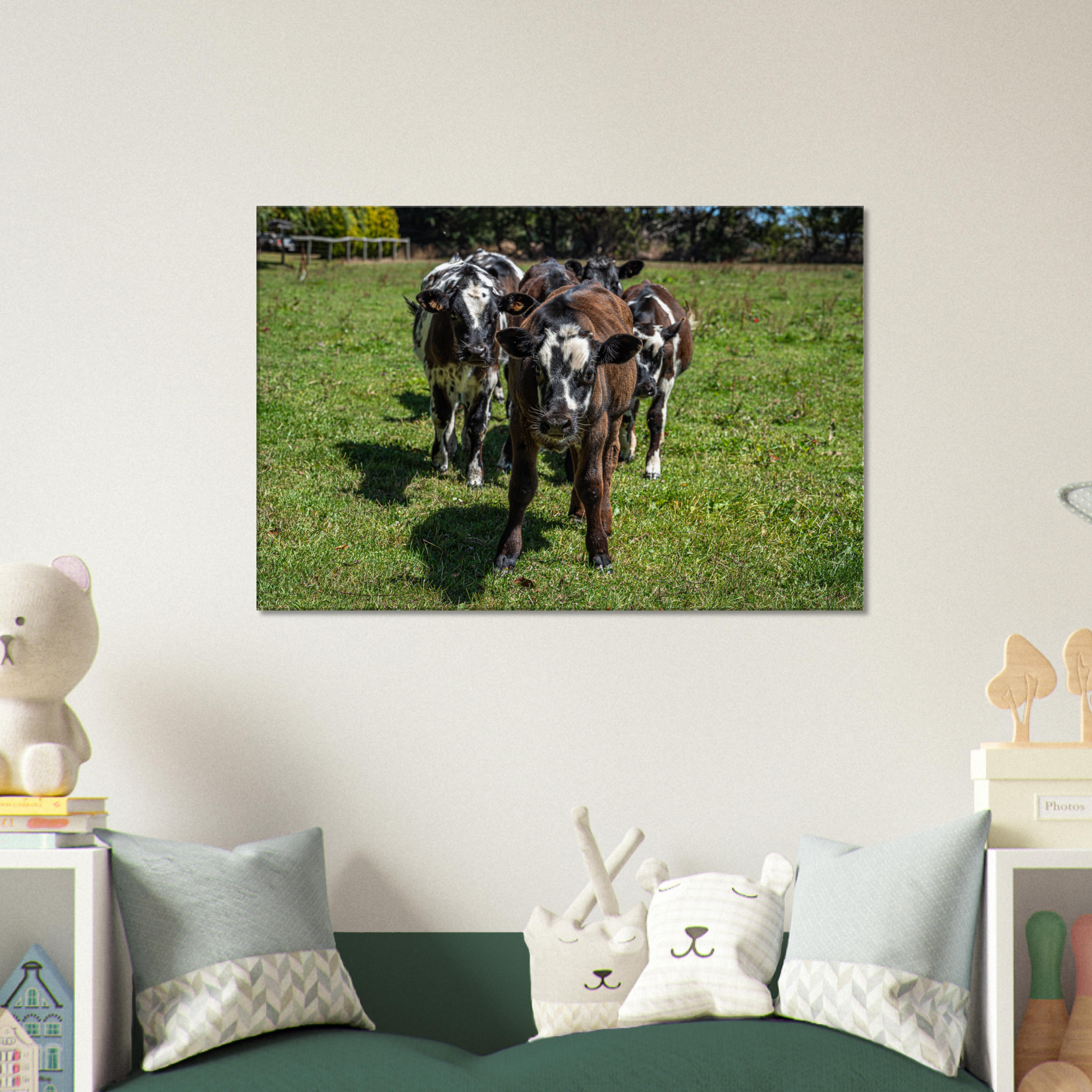 Calves Domestic Animal Canvas Wall Art Photography, Nursery Print, Nursery Animal Wall Decor, Kids Room, Prints, Stretched canvas by Istvan Maar Photography mockup 11