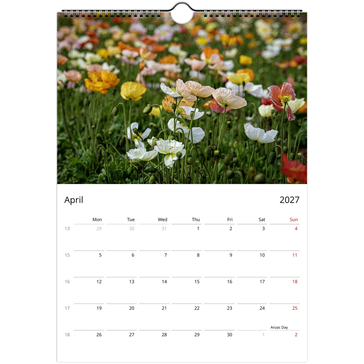 April 2027 calendar page featuring a sunlit field of orange, yellow, pink and white Iceland poppies.
