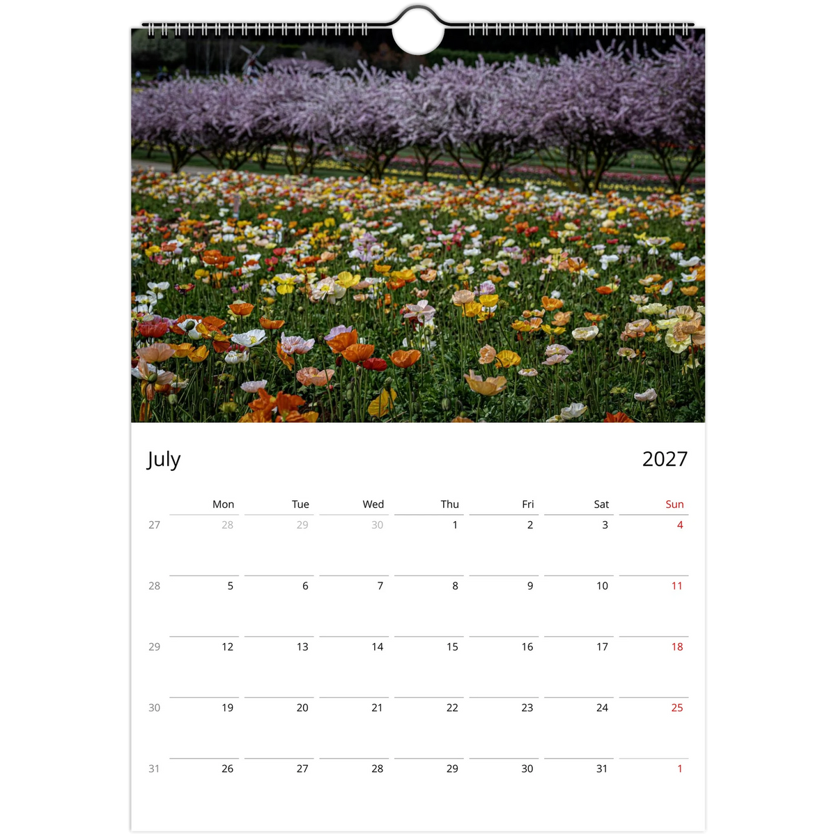 July 2027 calendar page featuring a dense field of Iceland poppies with flowering trees in the background.