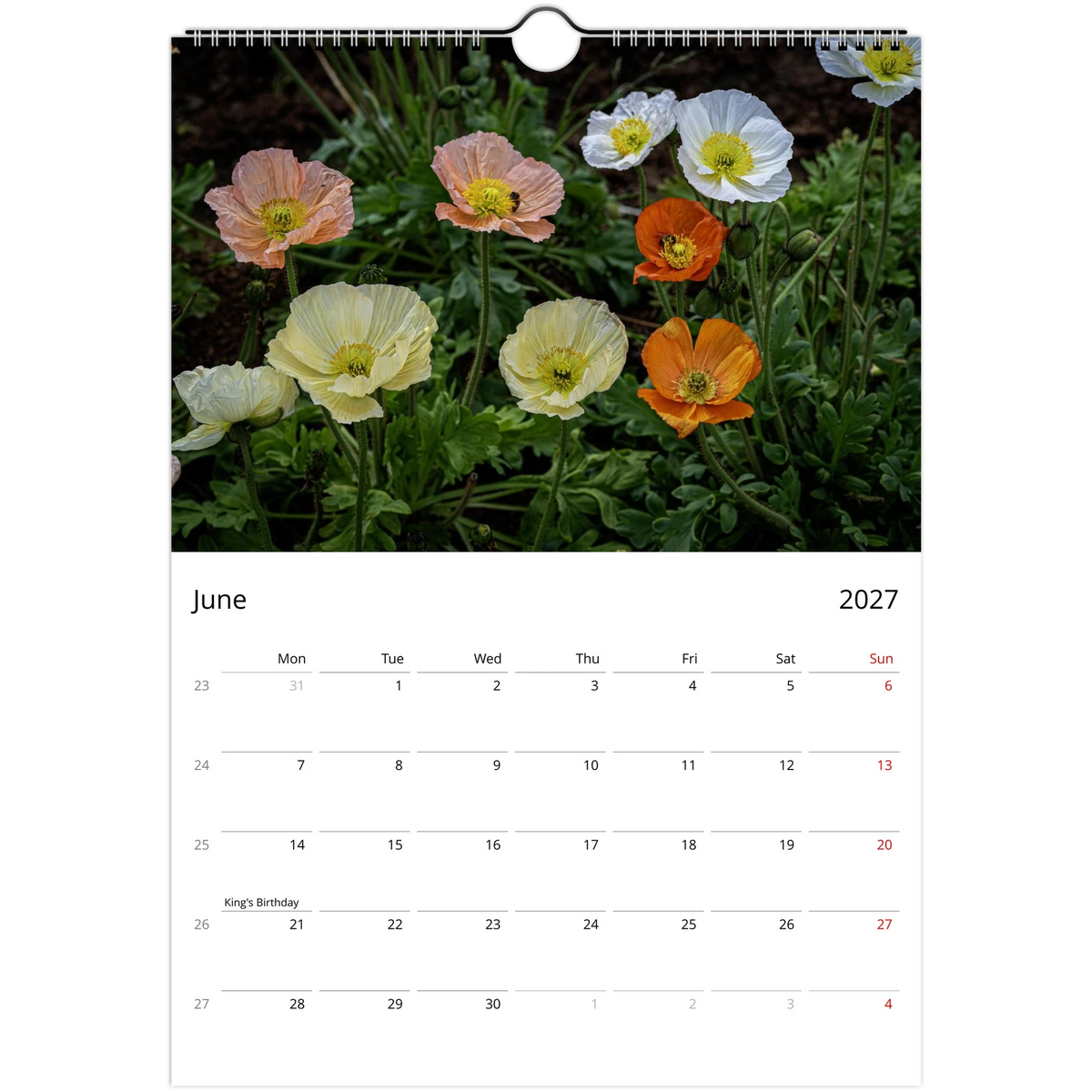 June 2027 calendar page featuring a close cluster of pastel pink, cream, orange and white Iceland poppies.