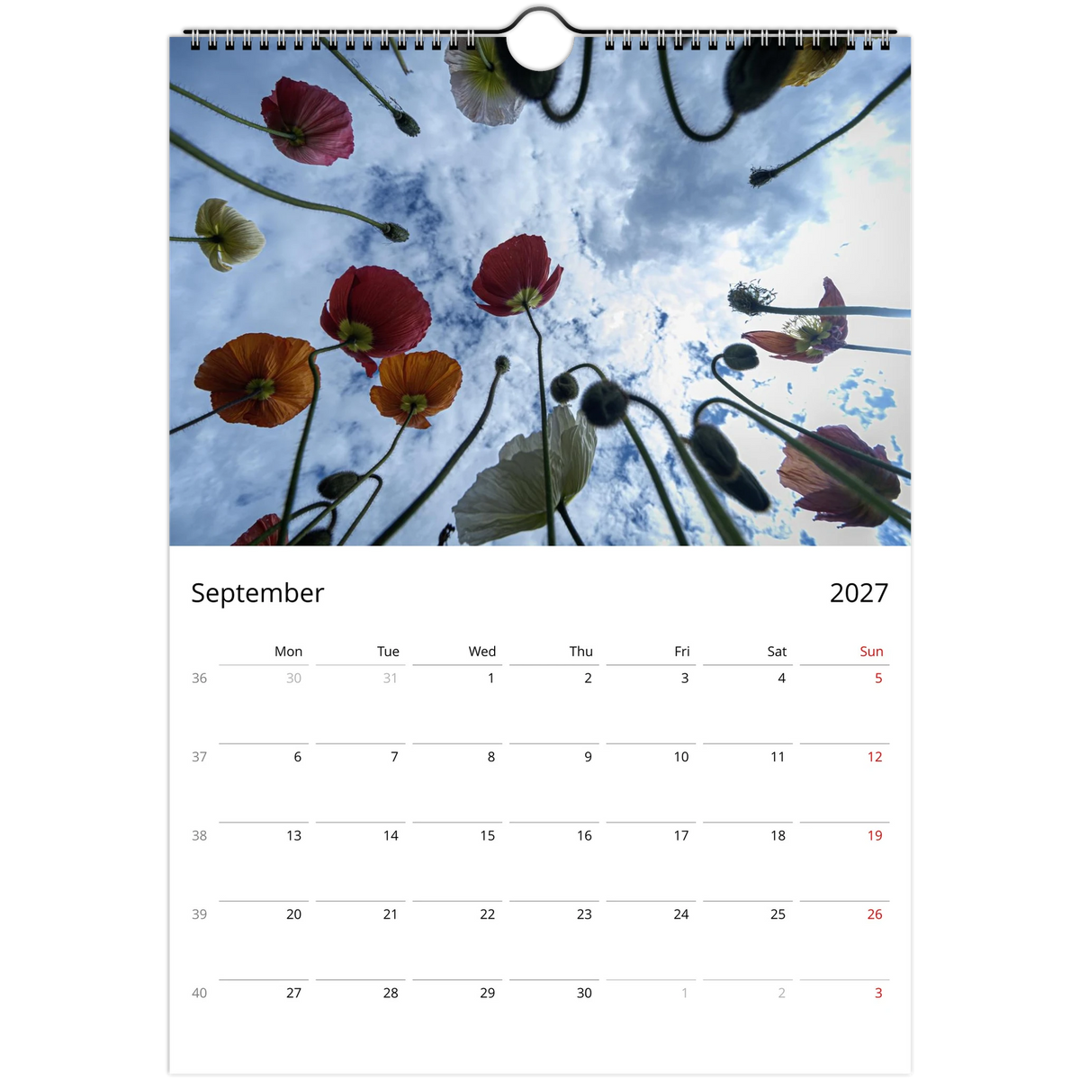 September 2027 calendar page featuring an upward view of colourful Iceland poppies against a cloudy sky.