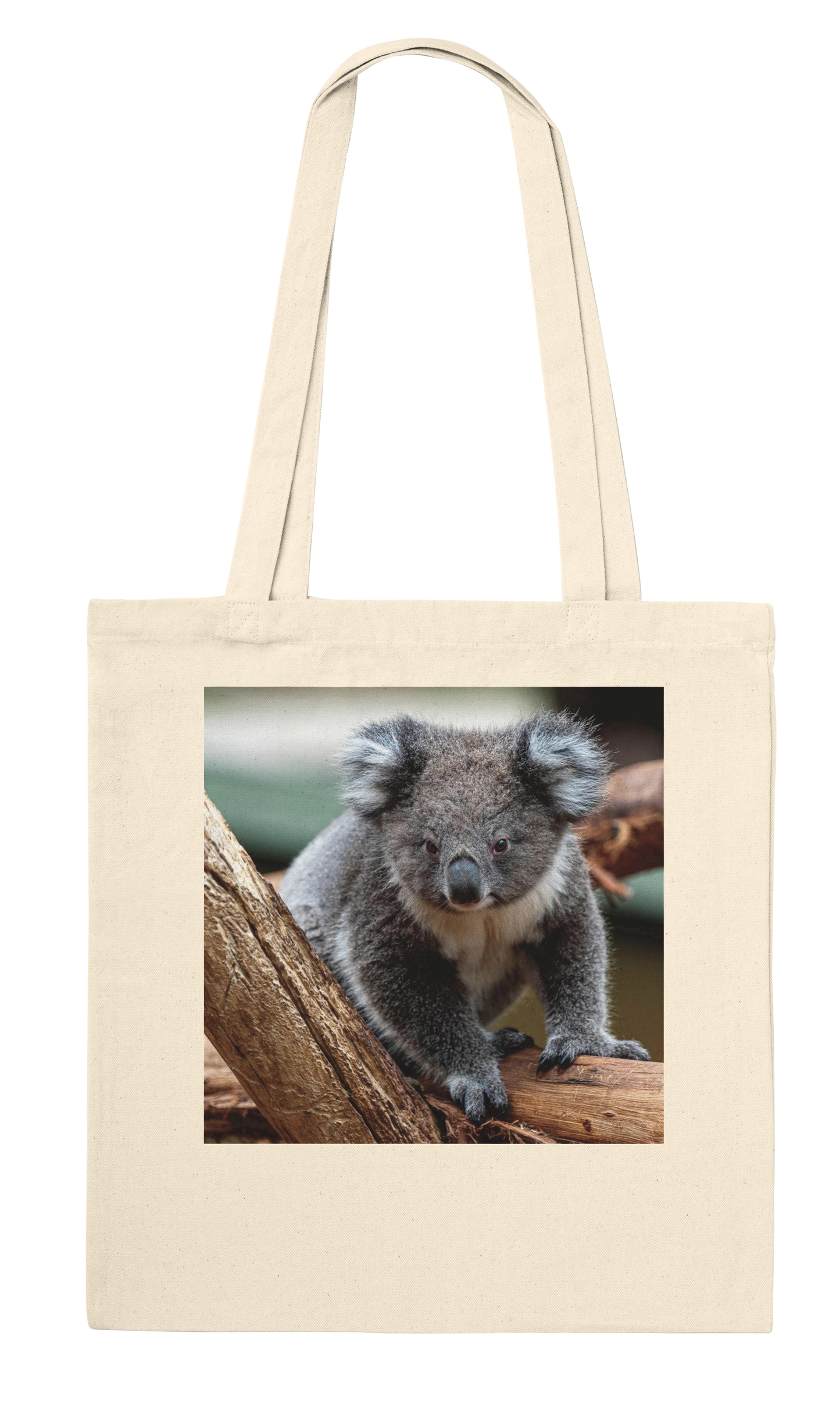 Koala photograph printed on a natural canvas tote bag, Classic style, front view