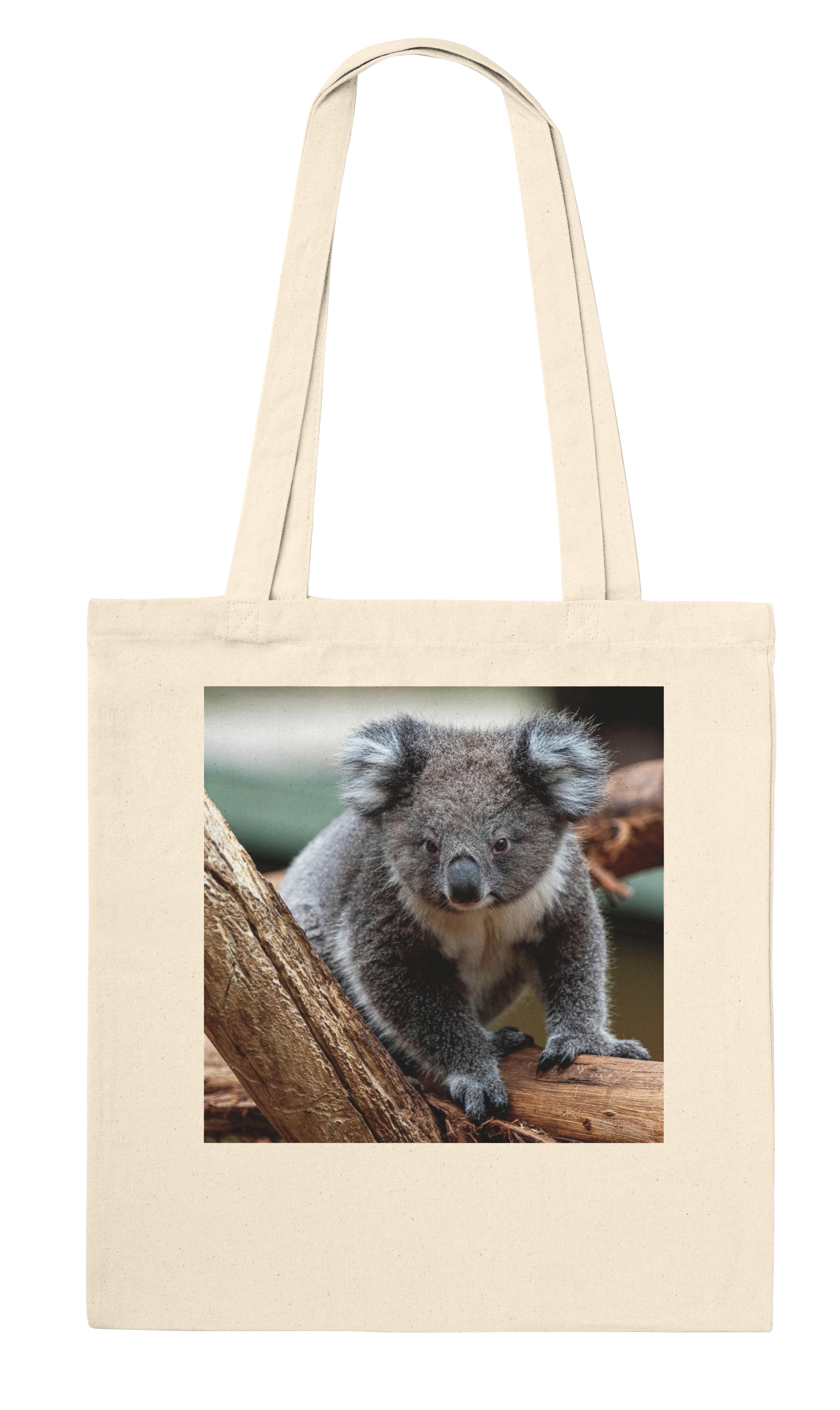 Koala photograph printed on a natural canvas tote bag, Classic style, front view
