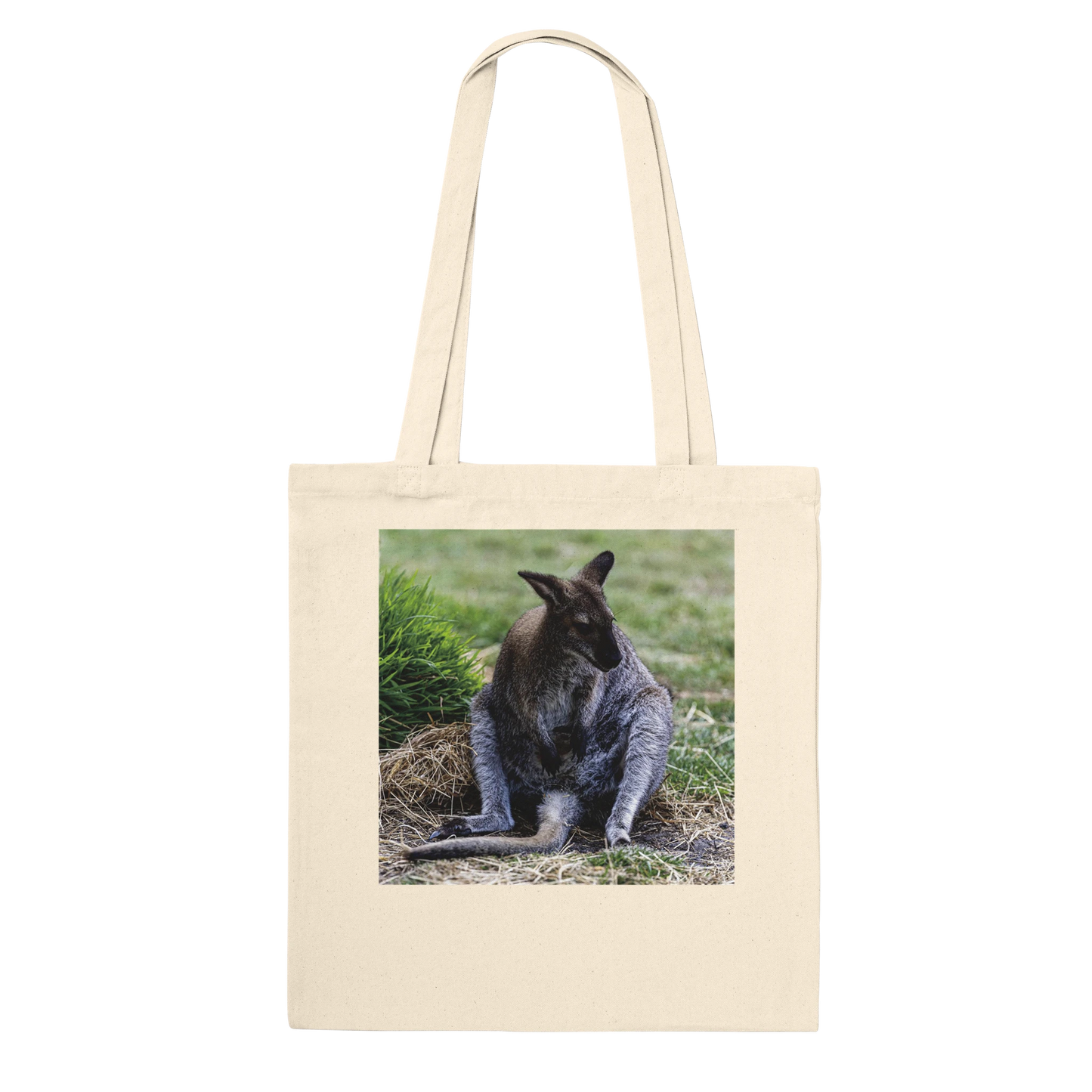 Lazy Kangaroo Tote Bag – Australian wildlife photography canvas tote, additional product view 2