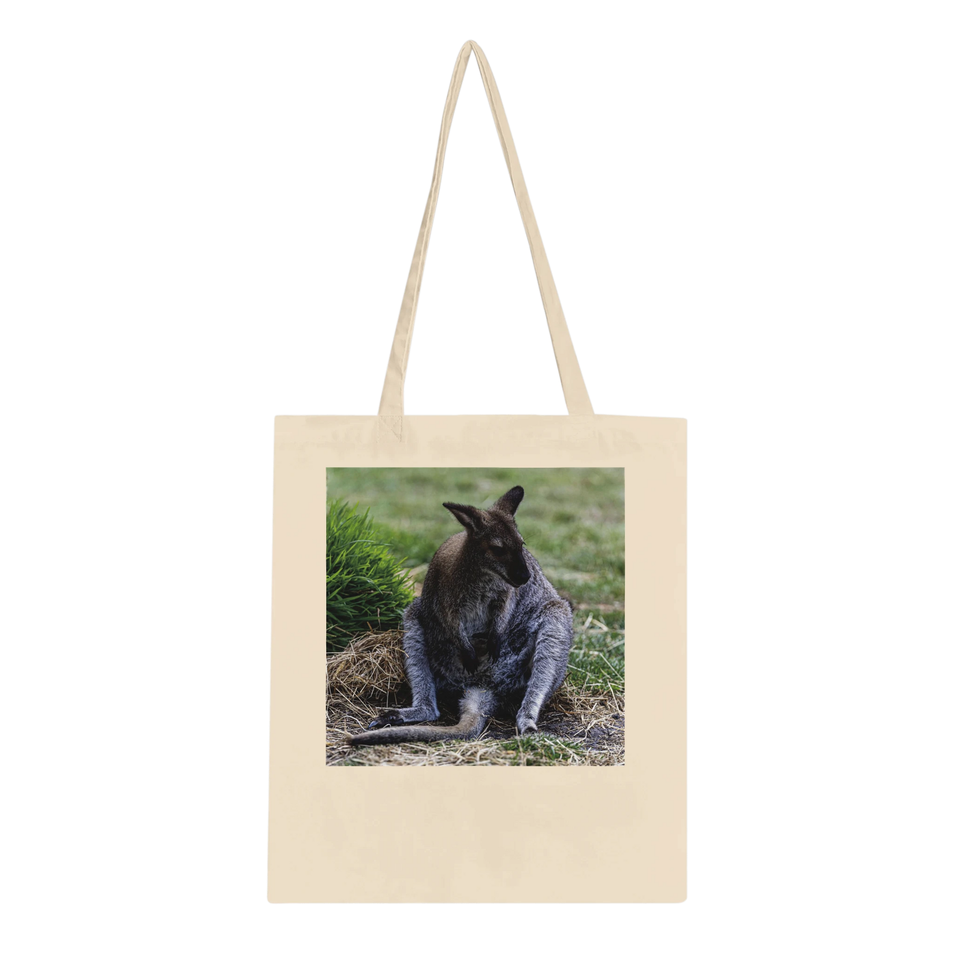Lazy Kangaroo Tote Bag – Australian wildlife photography canvas tote, additional product view 4