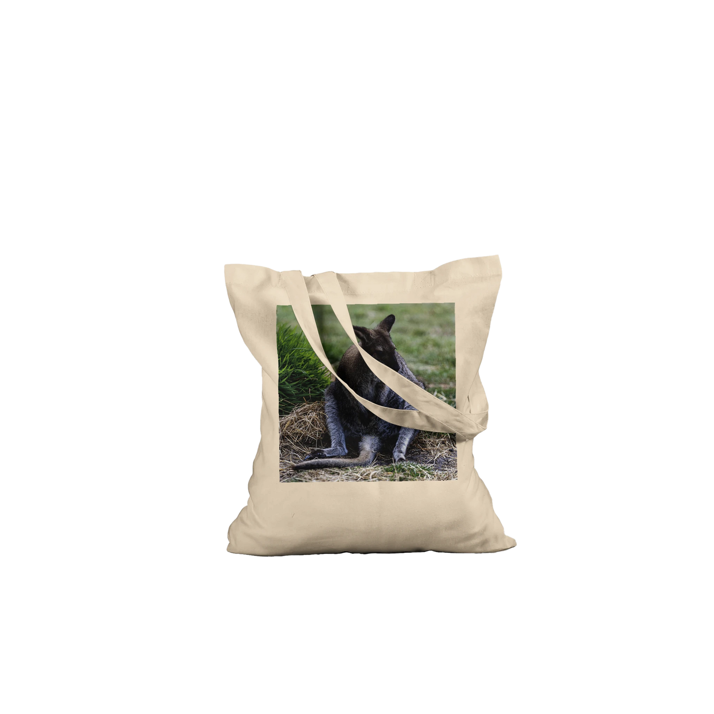 Lazy Kangaroo Tote Bag – Australian wildlife photography canvas tote, additional product view 7