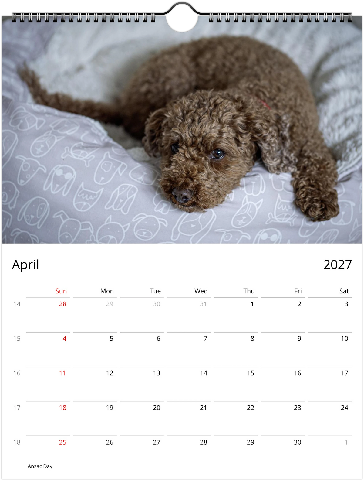 April 2027 page of the Lexi the Cavoodle wall calendar – Cavoodle resting on a dog-print cushion, Sunday-start monthly grid