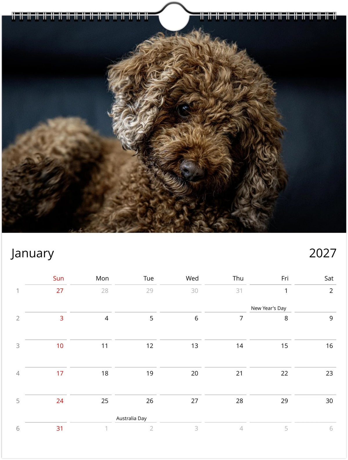 January 2027 page of the Lexi the Cavoodle wall calendar – brown Cavoodle close-up portrait, Sunday-start grid with week numbers and public holidays