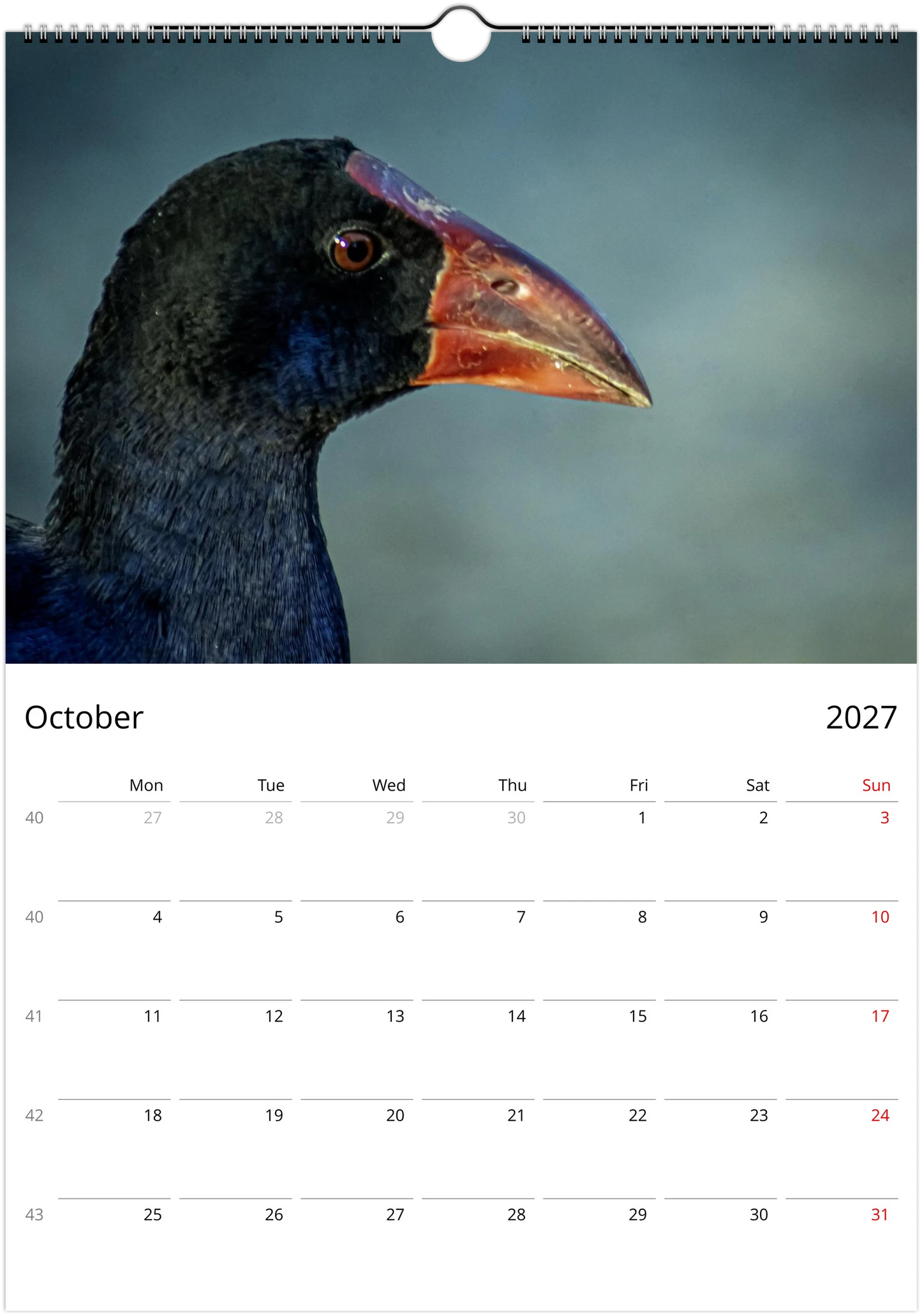 2027 Purple Swamphens Wall Calendar | 4167