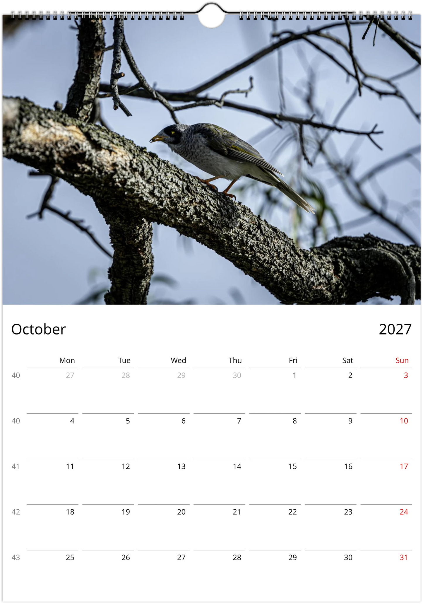 2027 Noisy Miners Wall Calendar | 3685