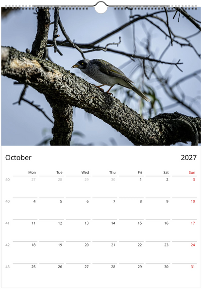2027 Personalised Noisy Miners Wall Calendar | 3685