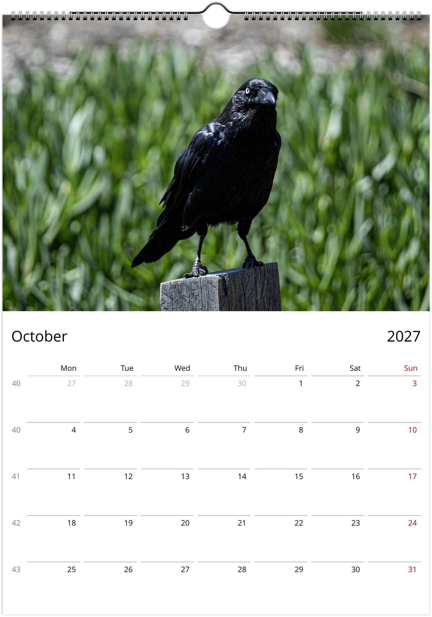 2027 Australian Ravens Wall Calendar | 2197