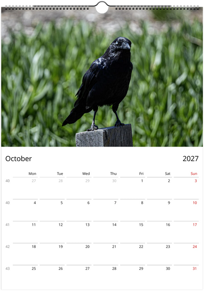 2027 Personalised Australian Ravens Wall Calendar | 2197