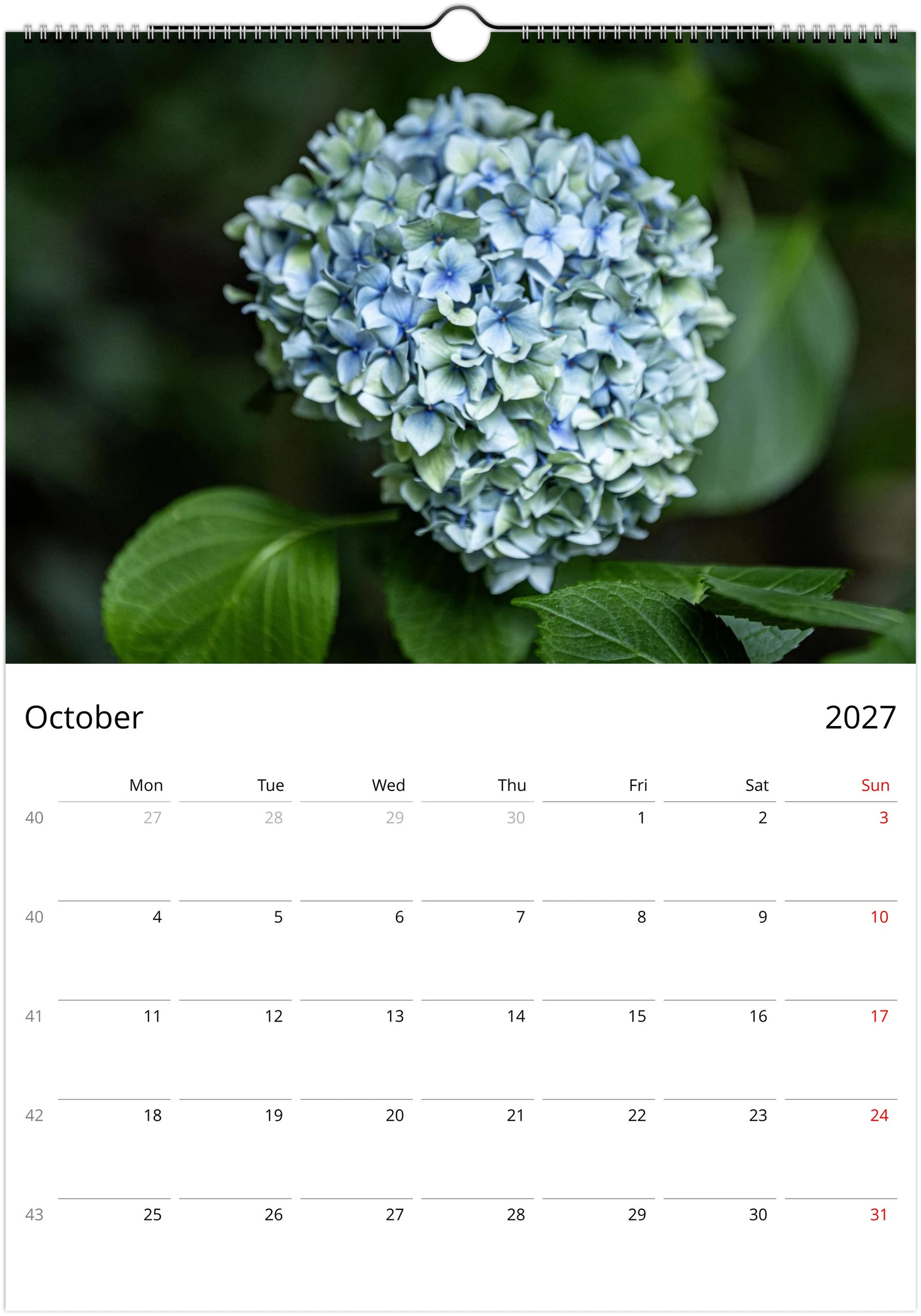 Calendar page for October 2027 featuring a hydrangea flower.