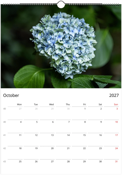 Calendar page for October 2027 featuring a hydrangea flower.