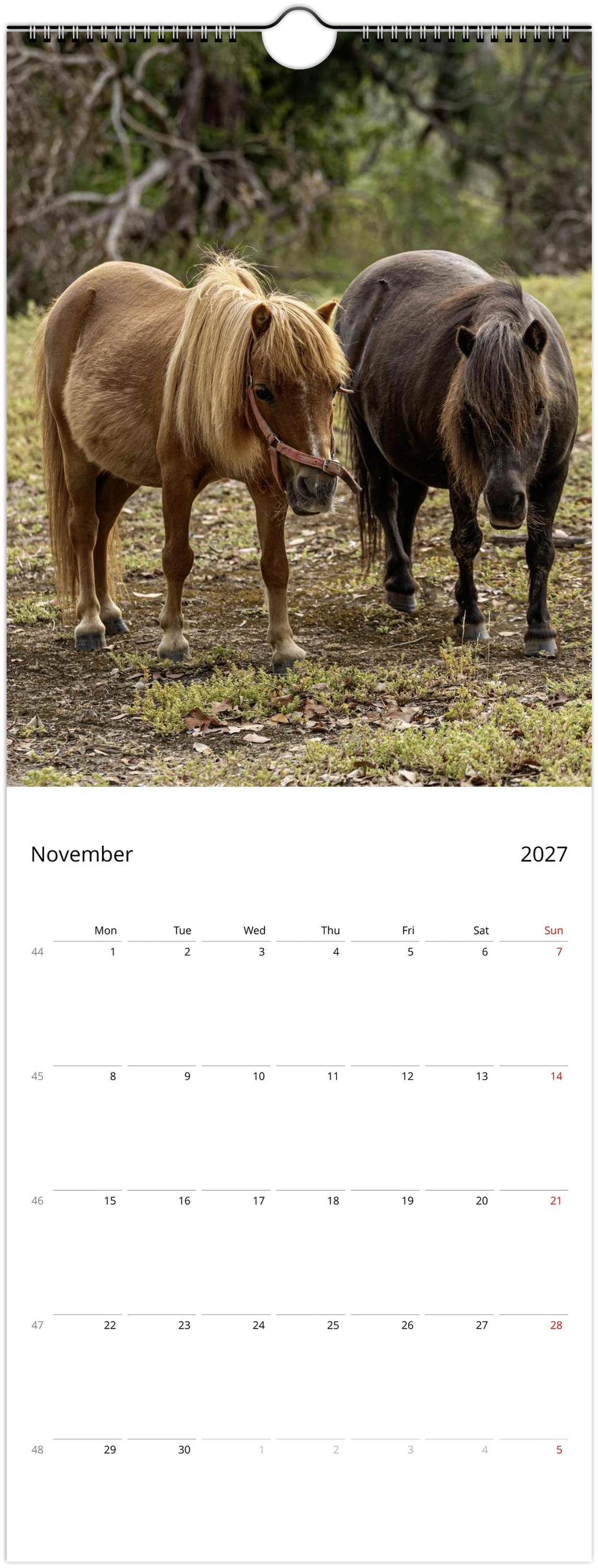 A vertical wall calendar page showing a photograph of two ponies outdoors on the top half and a November 2027 calendar grid on the bottom half.