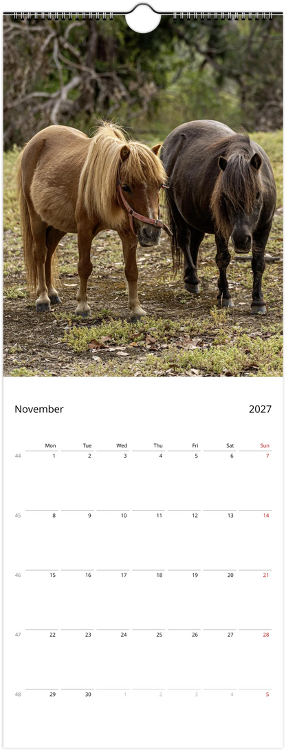 A vertical wall calendar page showing a photograph of two ponies outdoors on the top half and a November 2027 calendar grid on the bottom half.
