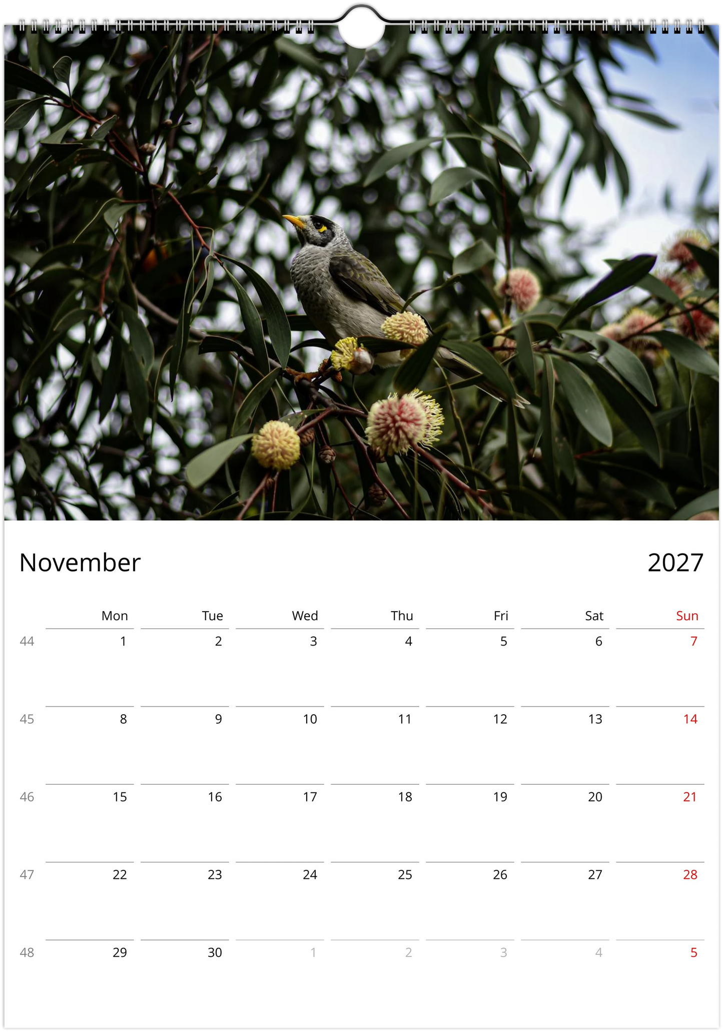 2027 Noisy Miners Wall Calendar | 3685