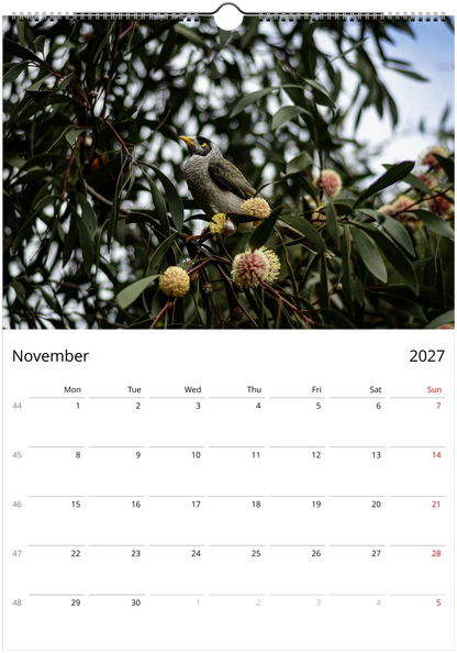 2027 Personalised Noisy Miners Wall Calendar | 3685