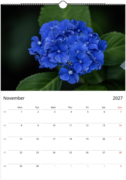 Calendar for November 2027 with a blue flower on a dark background