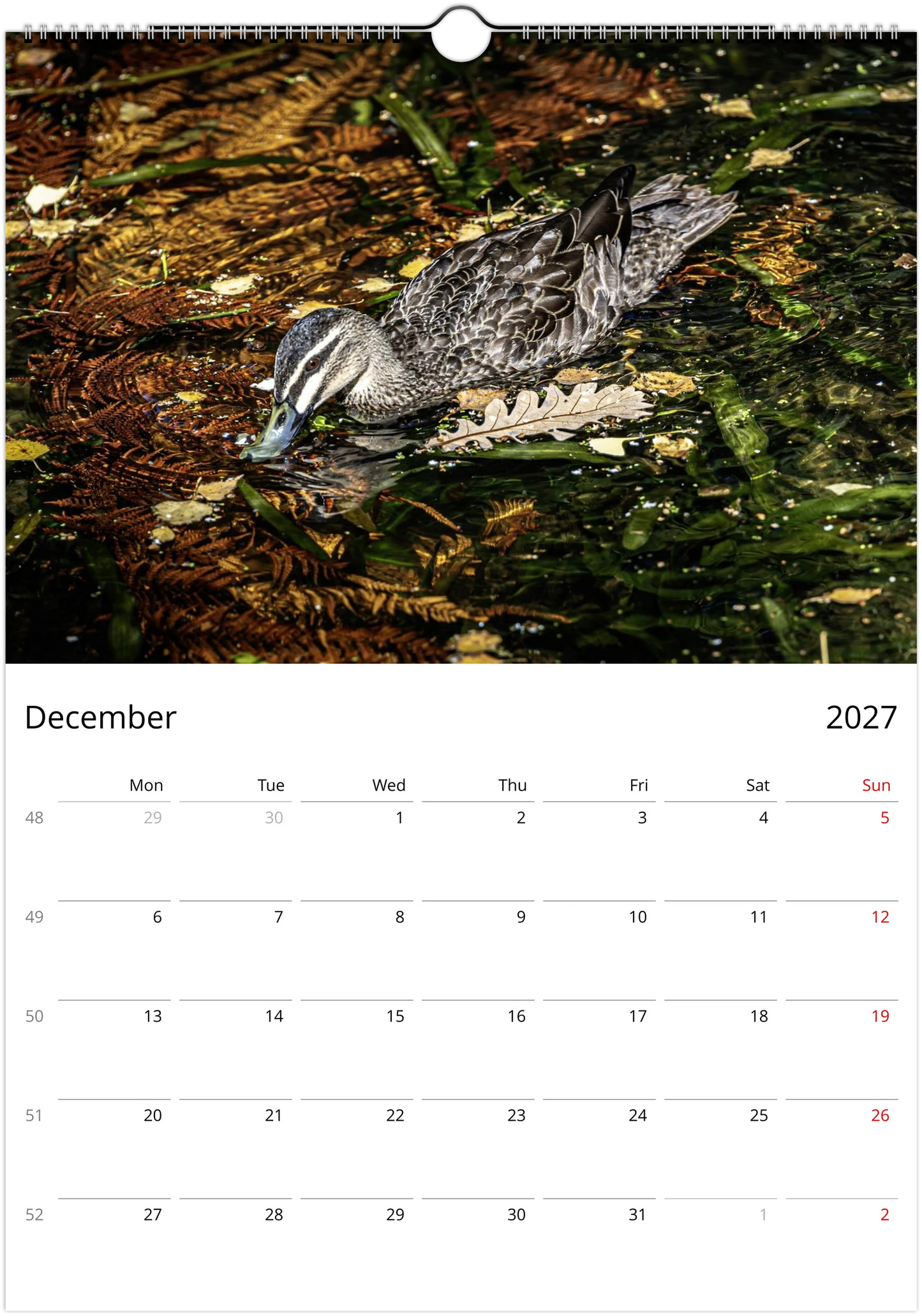 2027 Ducks Wall Calendar | 9076