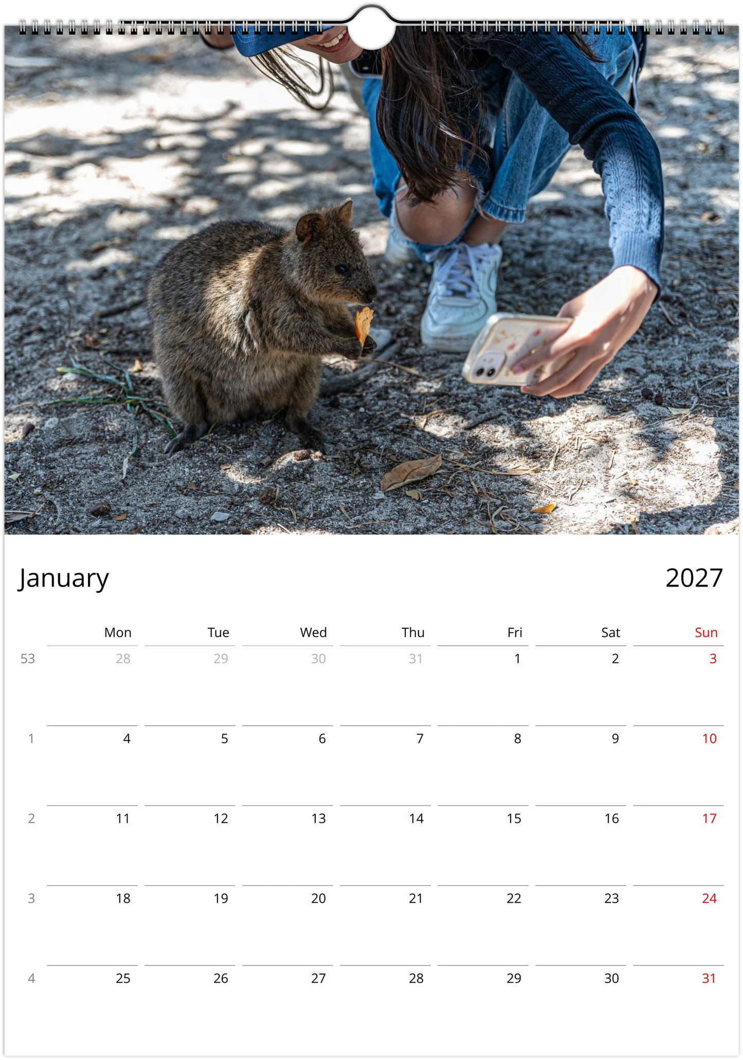 2027 Australian Wildlife Wall Calendar | 0488 Istvan Maar Photography